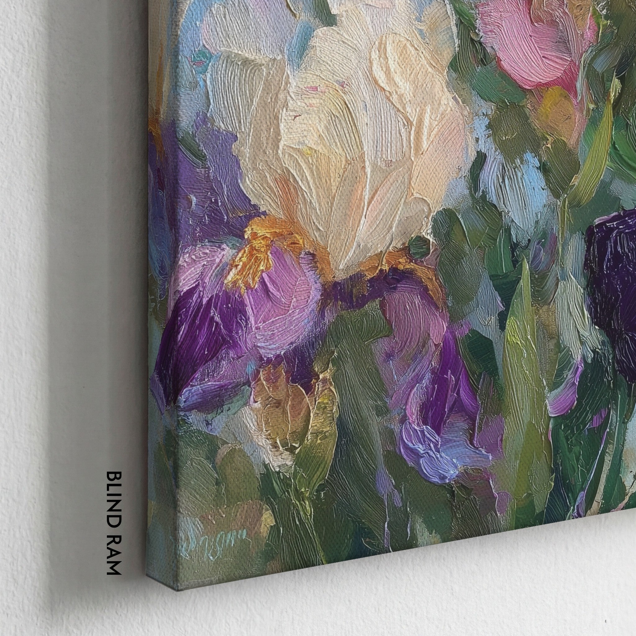 Velvet Iris in Spring Light